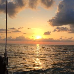 Meet your Posher, Ruth